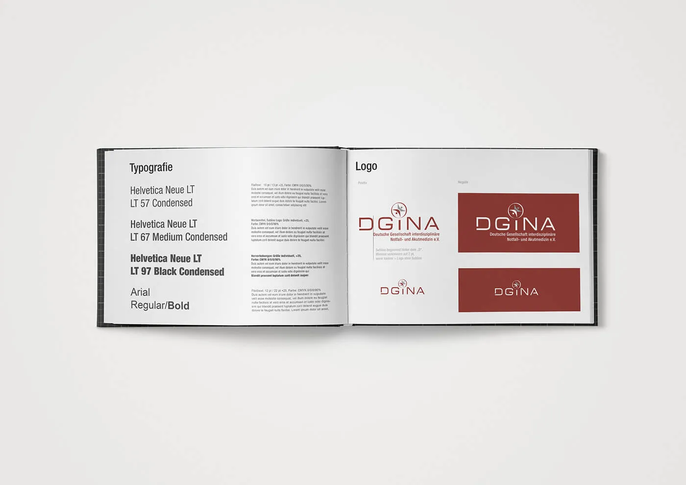 DGINA Logo und Markenbild