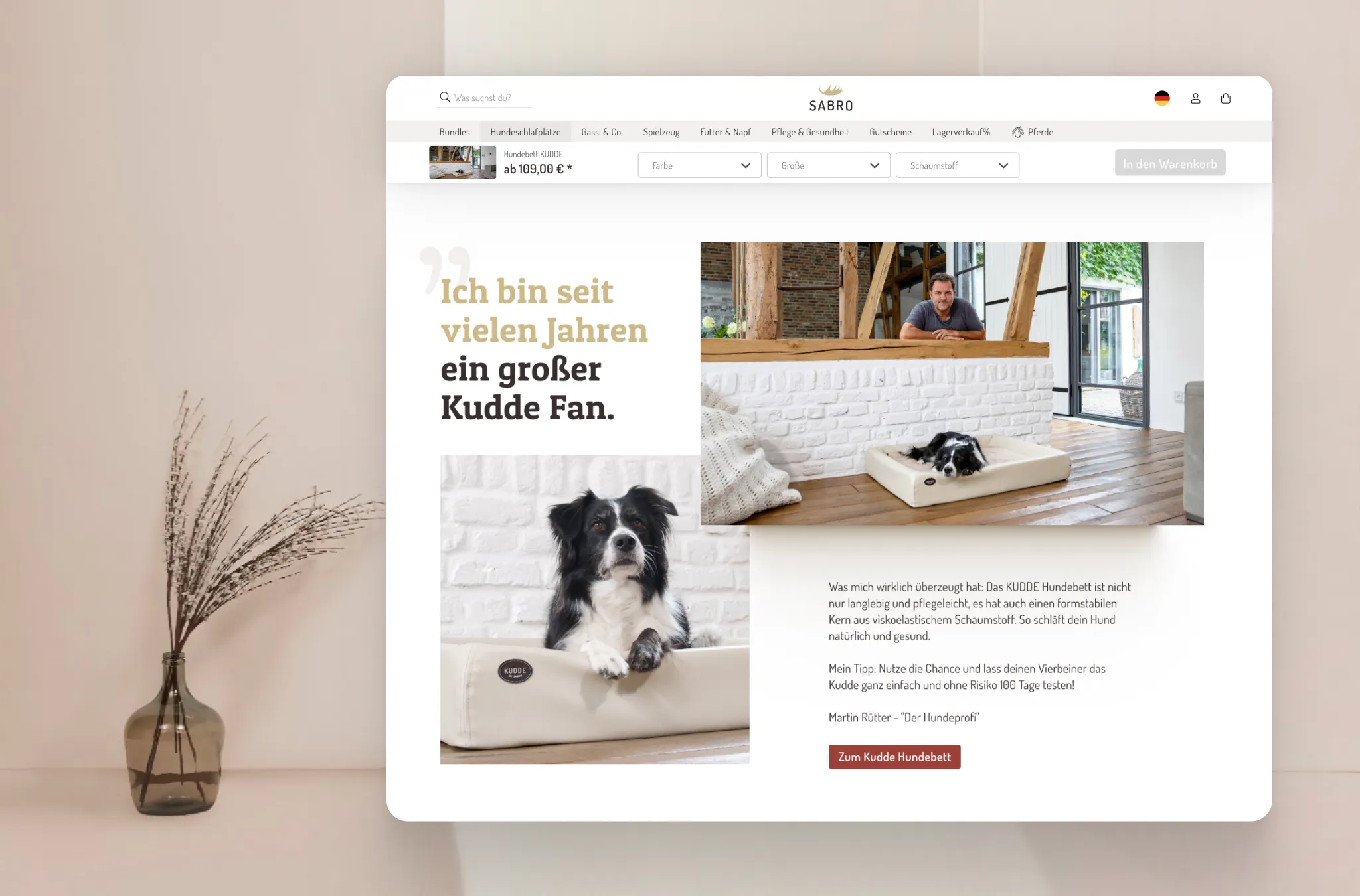 SABRO Shopware Mobile UX