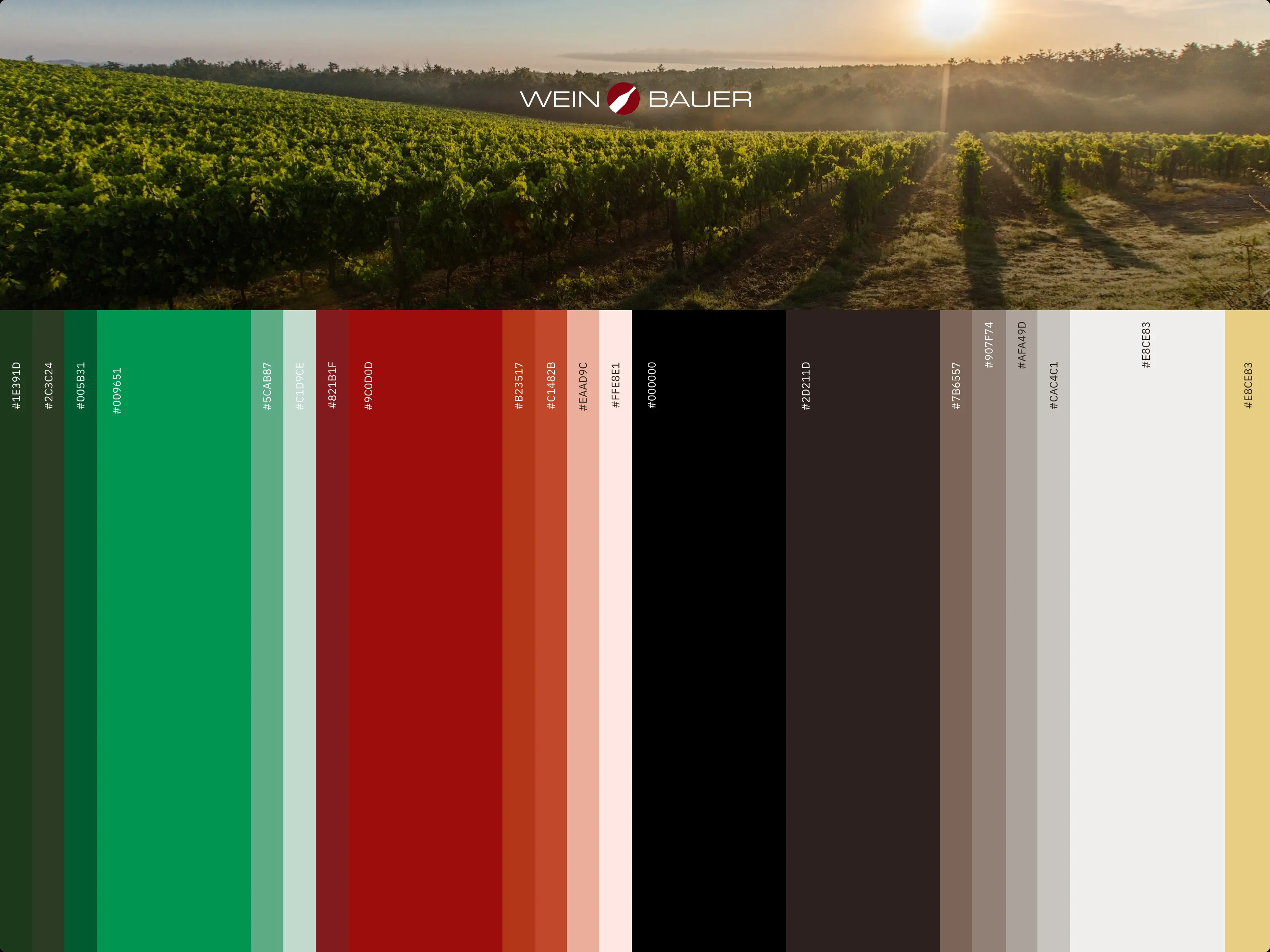 Wein-Bauer Farbwelt