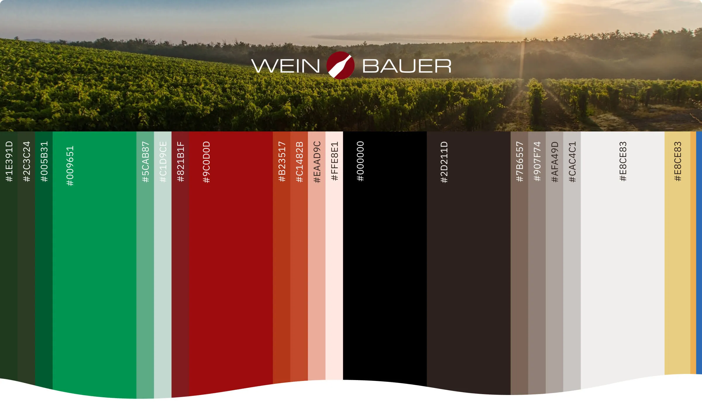 Styleguide & Farbwelt